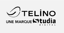 Telino logo